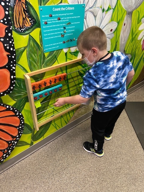 counting insects