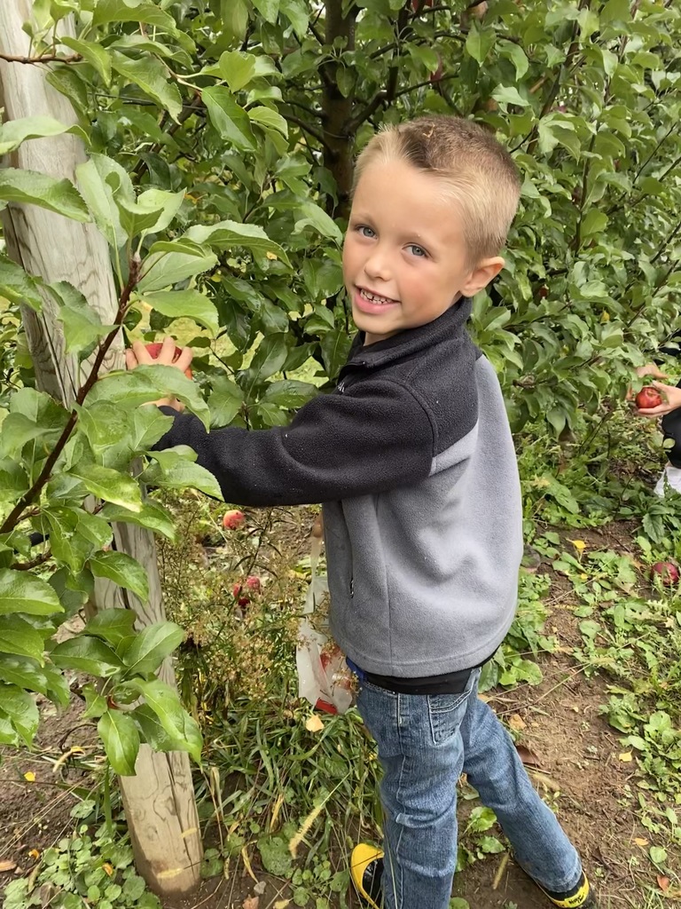 apple orchard
