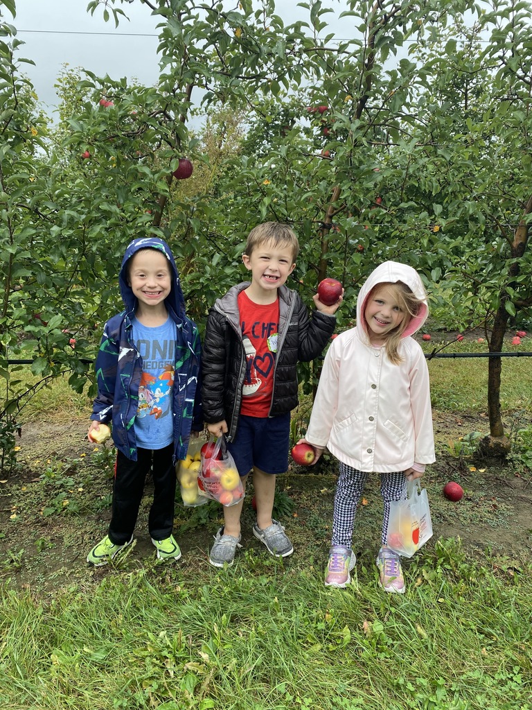 apple orchard