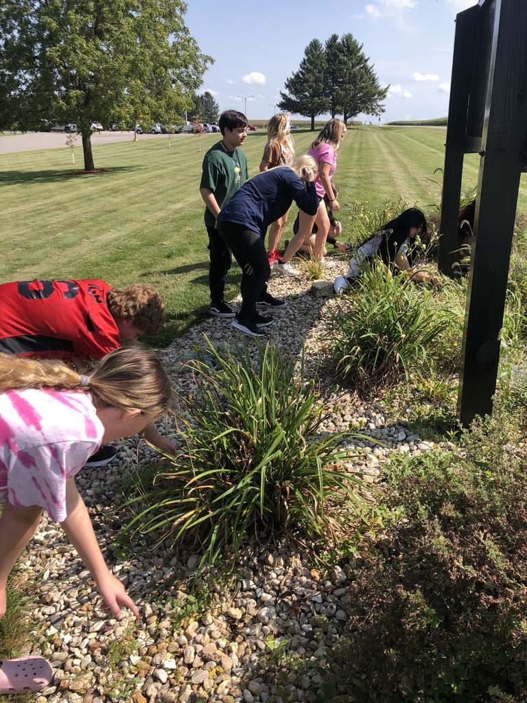 Middle school students pulling weeds 