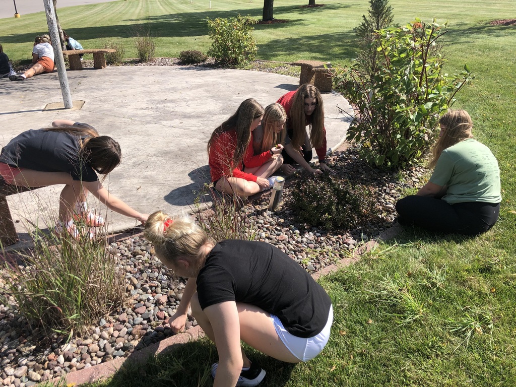 Middle school students pulling weeds
