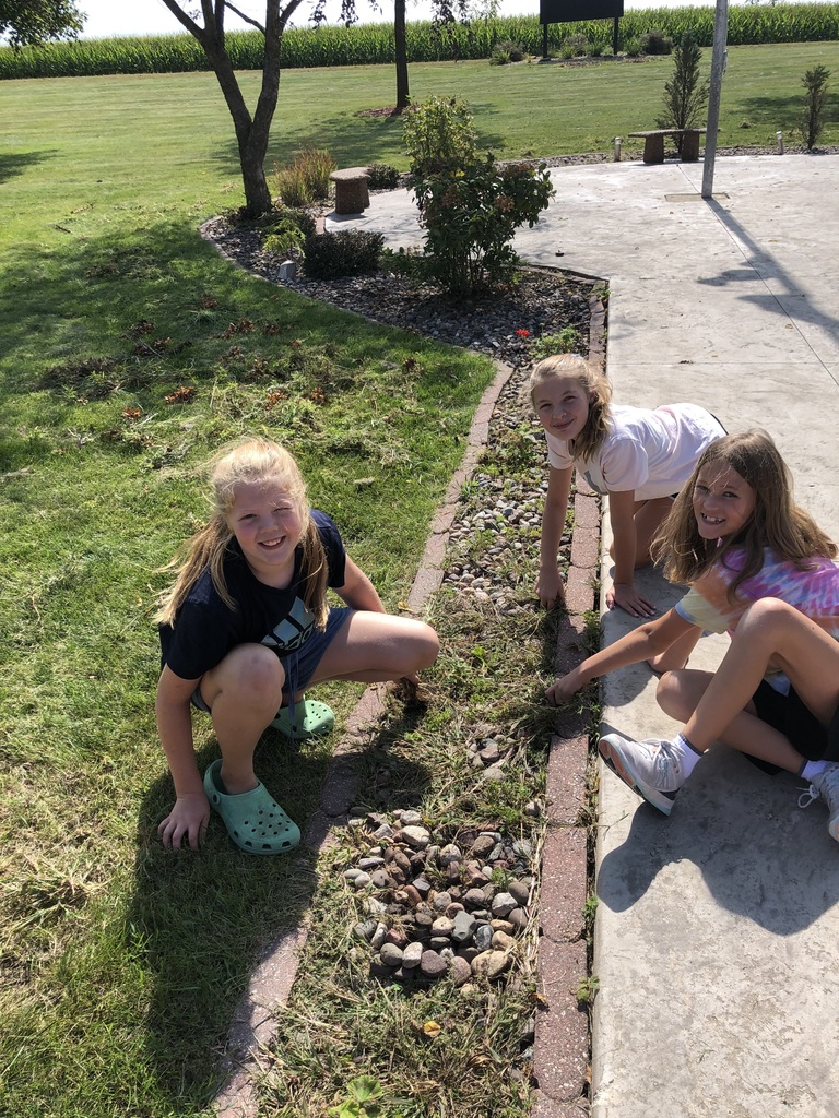 Middle school students pulling weeds 