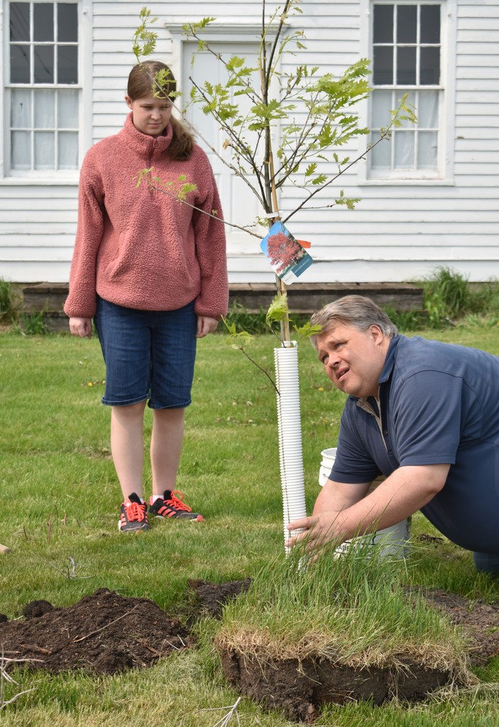 Planting a tree