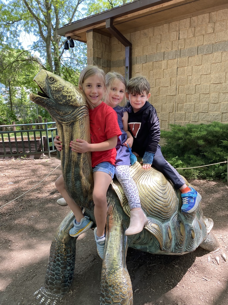 Kindergarten zoo trip